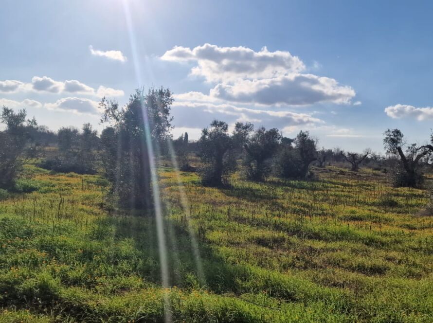 fot. Zdzisław Kijas